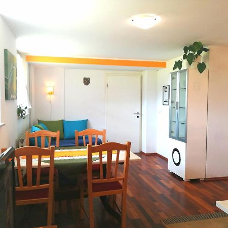 Mateja House - Apartments In Zirovnica Rodine Kültér fotó