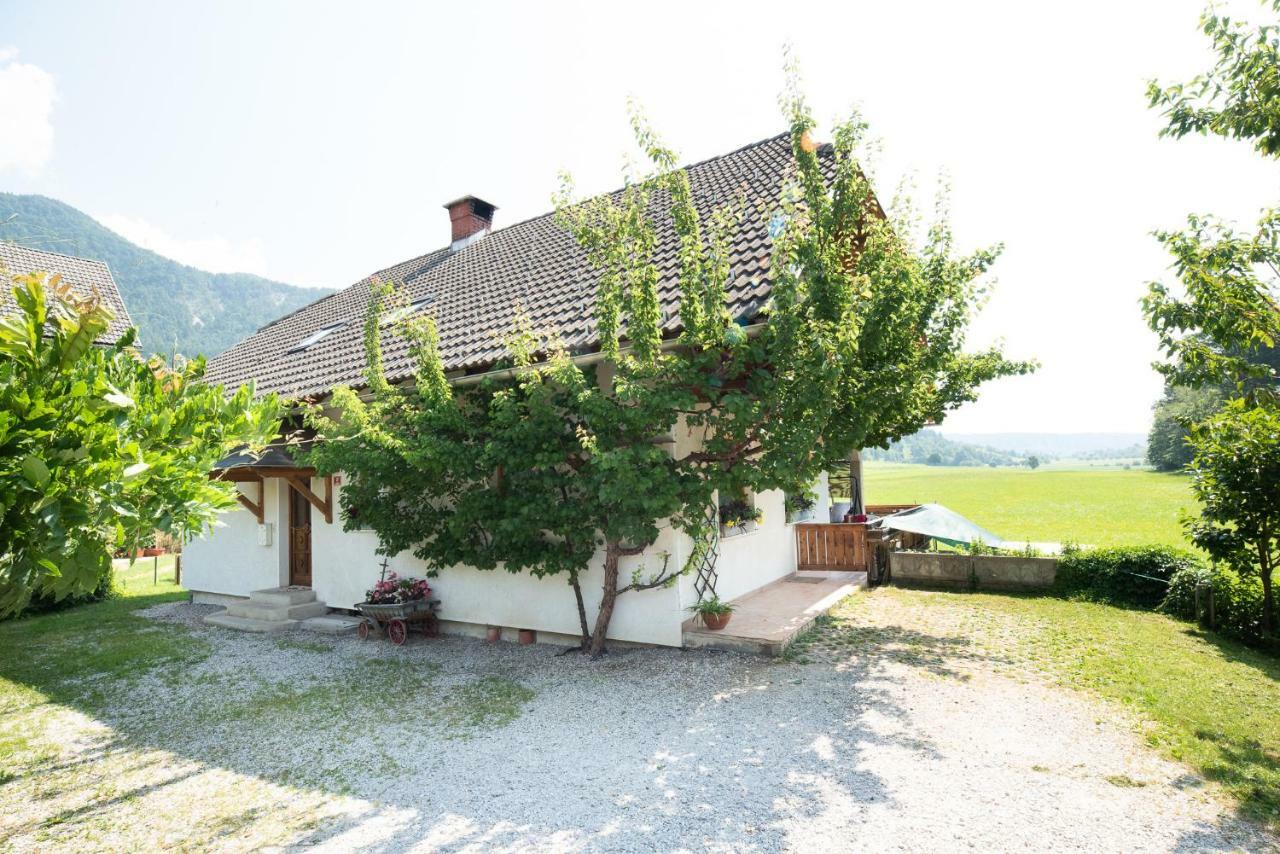Mateja House - Apartments In Zirovnica Rodine Kültér fotó