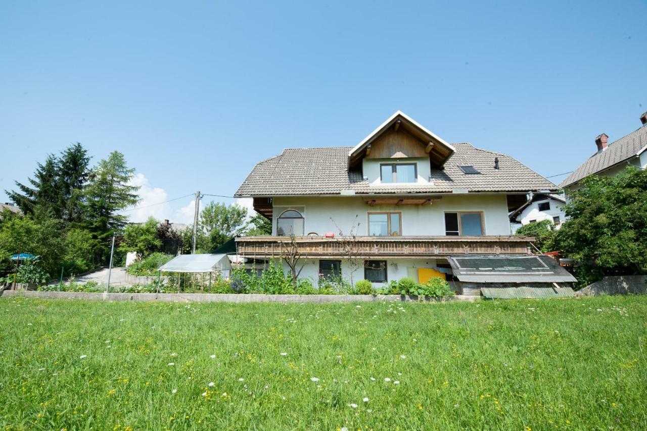 Mateja House - Apartments In Zirovnica Rodine Kültér fotó
